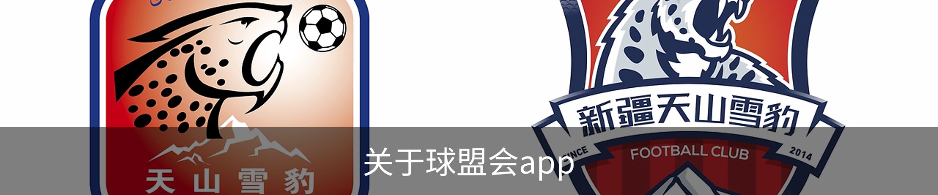 关于球盟会app