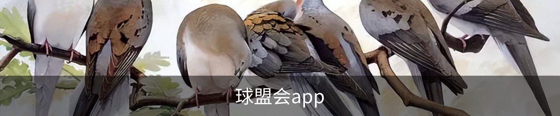 球盟会.QMH(中国)-官方网站